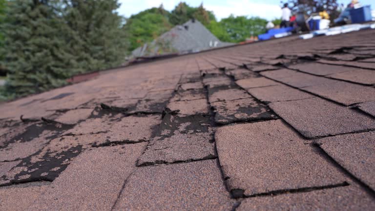 Best Storm Damage Roof Repair  in Dry Ridge, KY